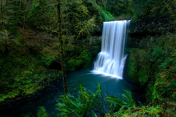 Pacific Northwest's Best