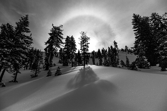 Winter Moon