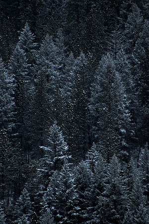 Frosty Lines