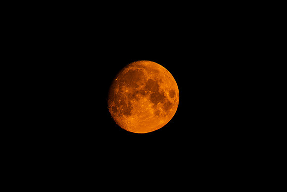 Harvest Moon
