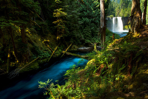 Northwest Wonders