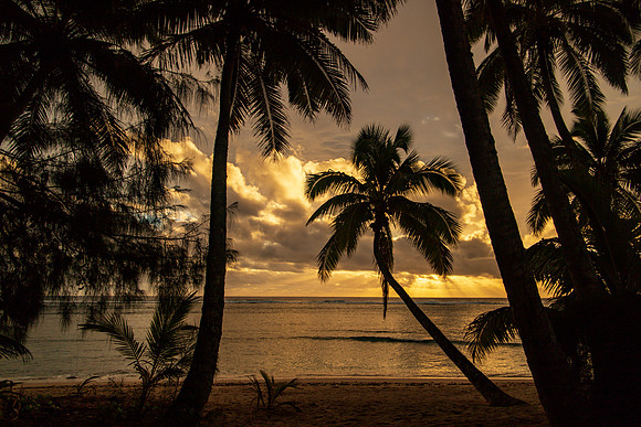 Tropic Thunder