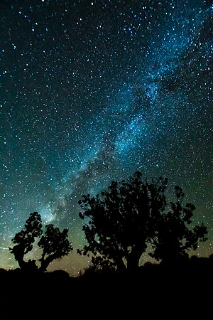 Desert Night