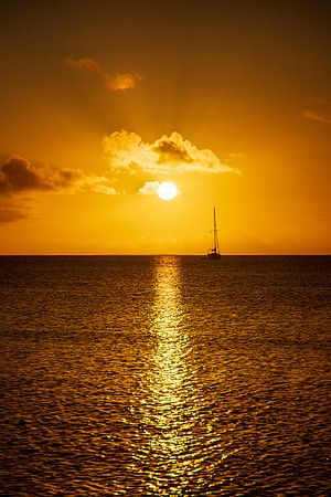 Horizon Nights