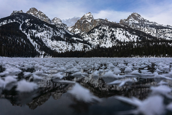 Cold Reflection