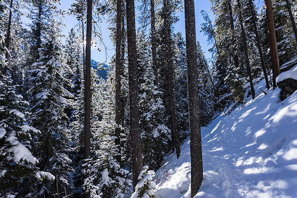 Frigid Glimpses