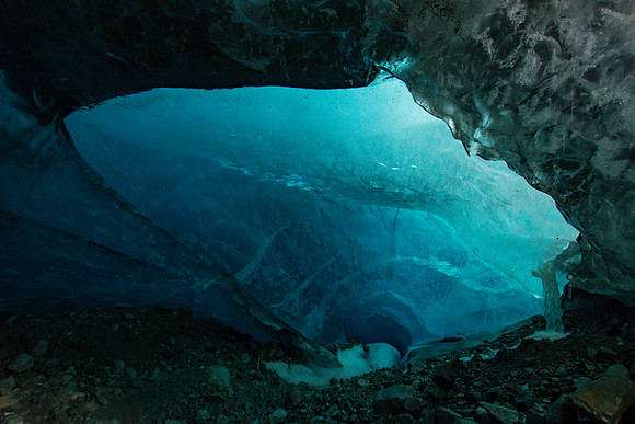 Into the Belly of the Beast