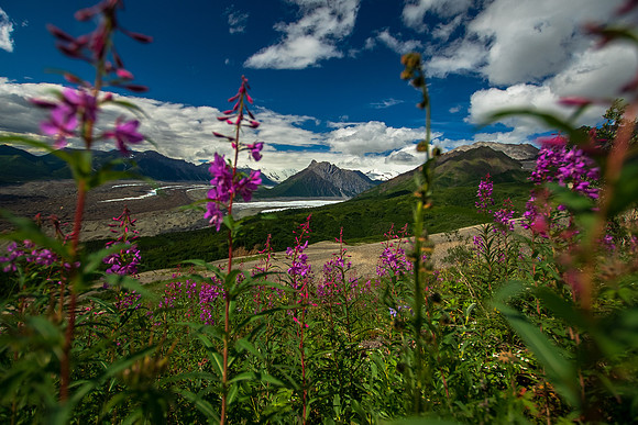 The Edge of Alaska