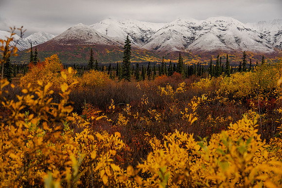 Autumn Wonderland