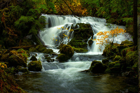 Spilling into Autumn