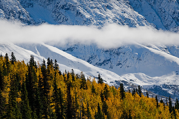 Where Seasons Collide