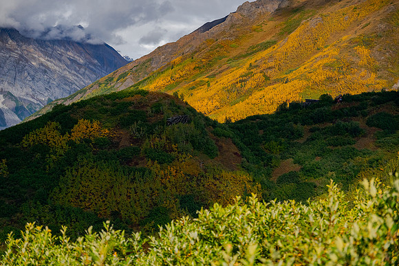 Colors of Autumn